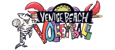 Venice Beach Volleyball logo for NES